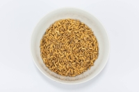 GU YA -  Fructus Setariae Germinatus - skiełkowane ziarno ryżu siewnego 100g