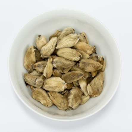 XIN YI HUA - Flos Magnolia - kwiat magnolii czerwonokwiatowej 100g