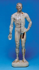 Model człowieka (26cm)