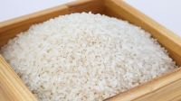 Ryż słodki pełnoziarnisty ORGANIC 400g