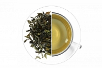 Darjeeling Glenburg 50g